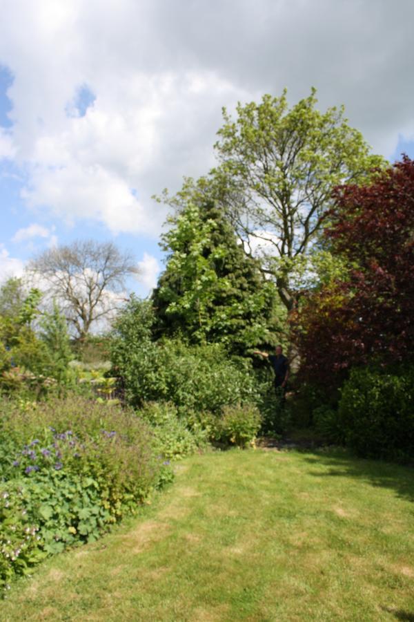 Foxholm Bed And Breakfast Scarborough Buitenkant foto