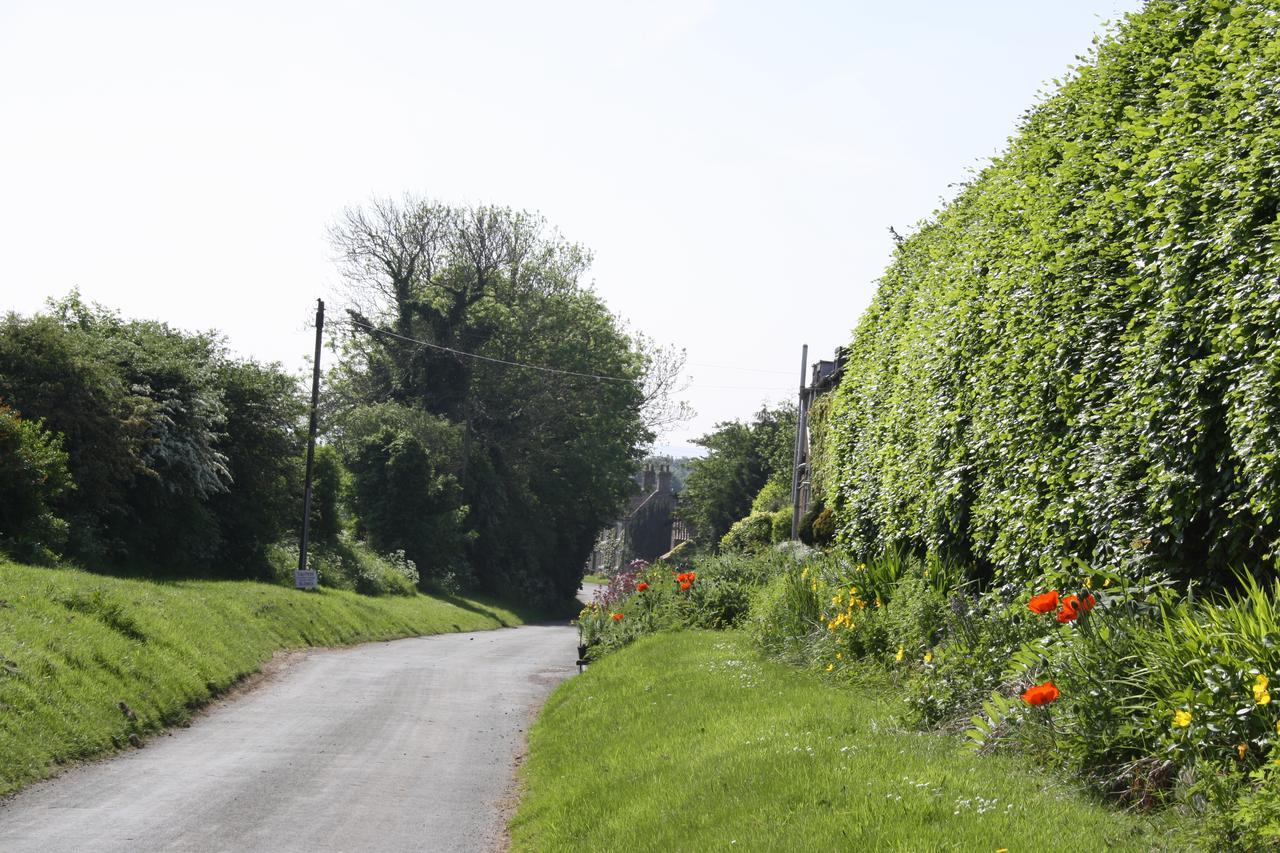 Foxholm Bed And Breakfast Scarborough Buitenkant foto