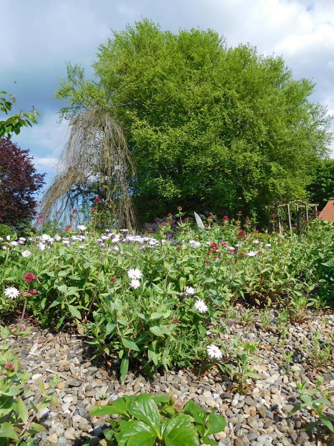 Foxholm Bed And Breakfast Scarborough Buitenkant foto